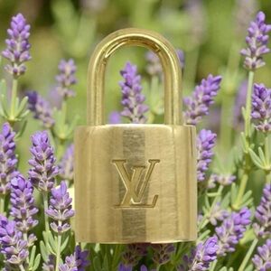 Authentic Louis Vuitton Padlock (Lock Only) Polished